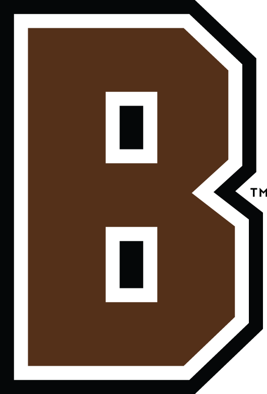 Brown Bears 2003-Pres Alternate Logo v2 diy fabric transfer